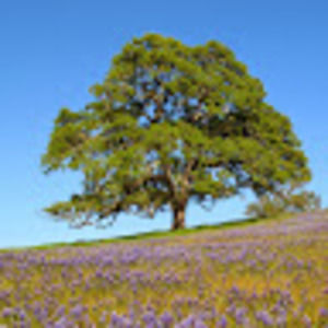 Meet your Posher, Nathaniel